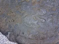 1306827131270.webp 1306827131270.webp