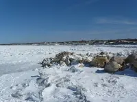 ice1.webp