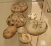 Painted Pebbles wiki.webp