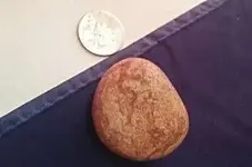 Pebble1.webp
