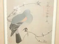 DSCN9093.webp