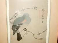 DSCN9114.webp