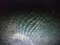 k 001.webp