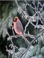 Untitled.webp