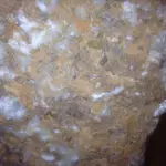 ImageUploadedByTreasureNet.com1426612529.226546.webp