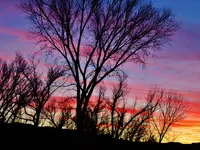 IMG_1707.webp IMG_1707.webp