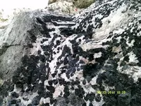 DSCF0813.webp
