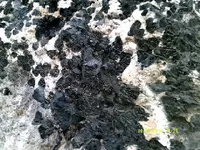 DSCF0814.webp