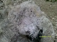 DSCF0817.webp