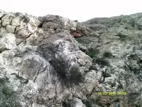 DSCF0827.webp