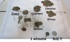 Park Finds 2-28-15 014.webp