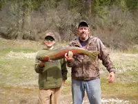 Jasper's male fish 2012 (1).webp