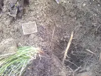 IMG-20141227-02600.webp