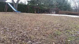 20150317_115931.webp