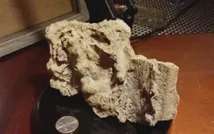 pottery.webp
