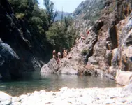 Mad Dawg Rock.webp