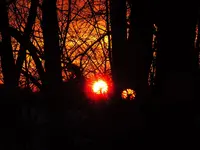 005.webp