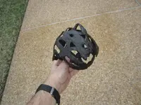 hilt19.webp