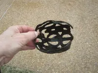 hilt22.webp