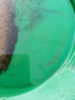 ImageUploadedByTreasureNet.com1424529460.521195.webp