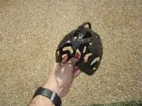 hilt23.webp