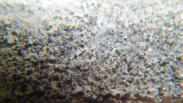 DSC01140.webp