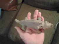 20150128_225526.webp