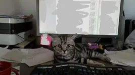 supervisorredacted.webp supervisorredacted.webp