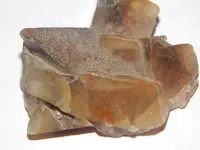 DSCN8628.webp