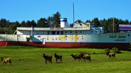 DSCN7175.webp