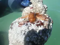 DSCF0315.webp