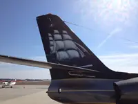 Tail Feathers2.webp