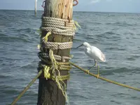 DSCF0279.webp
