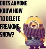 FB_IMG_1425230145841.webp