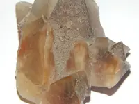 DSCN8633.webp