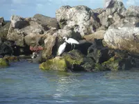 DSCF0280.webp