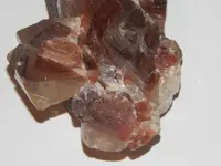 DSCN8635.webp