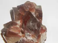 DSCN8636.webp