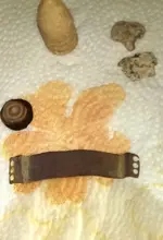 brassstrap.webp