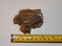 DSCN8641.webp