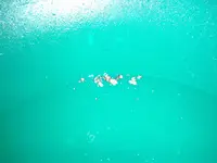 20150228_191930.webp 20150228_191930.webp