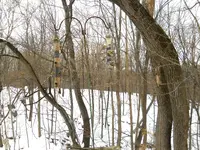 DSCN1916.webp