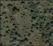 Spot2Eloy12.webp