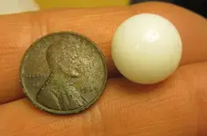 39wheat and marble.webp