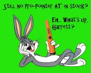 carrot 2.webp