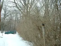 DSCF0005.webp