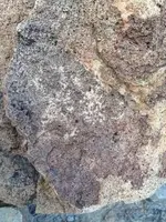 ImageUploadedByTreasureNet.com1426674697.918893.webp