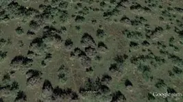 cache21.webp