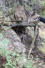 drongopknevunknownshelter.webp