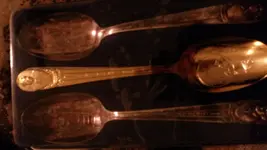 14252567153501389359256.webp